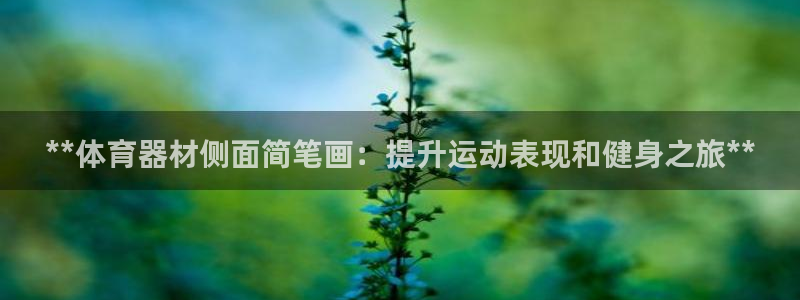 富联平台保7O777：**体育器材侧面简笔画：提升运