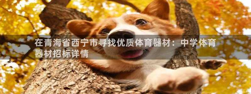 富联娱乐平台开户流程图