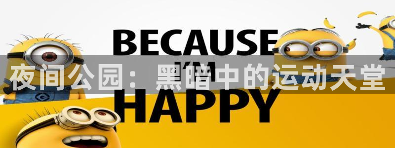 富联娱乐平台怎么样：夜间公园：黑暗中的运动天堂