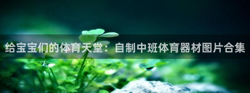 富联娱乐是什么时候开的股票：给宝宝们的体育天堂：自制