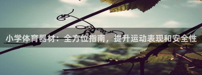 富联娱乐客户端app下载服务器：小学体育器材：全方位