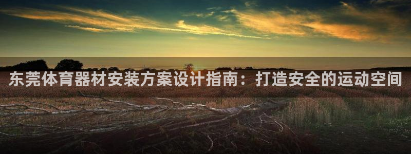 富联平台网站：东莞体育器材安装方案设计指南：打造安全