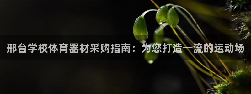 富联官网注册：邢台学校体育器材采购指南：为您打造一流