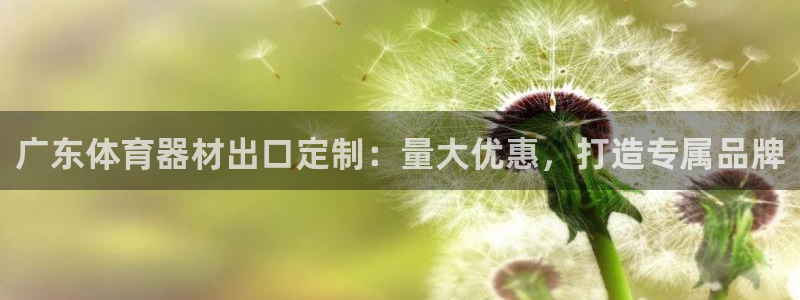 富联金融：广东体育器材出口定制：量大优惠，打造专属品