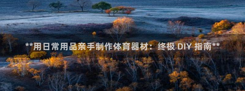 富联平台寇 37oo735：**用日常用品亲手制作体