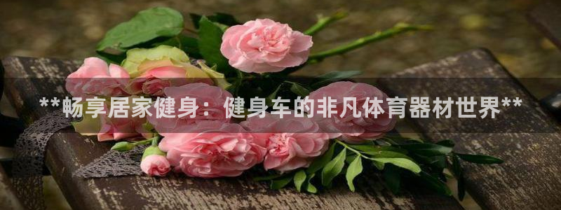 富联商标：**畅享居家健身：健身车的非凡体育器材世界