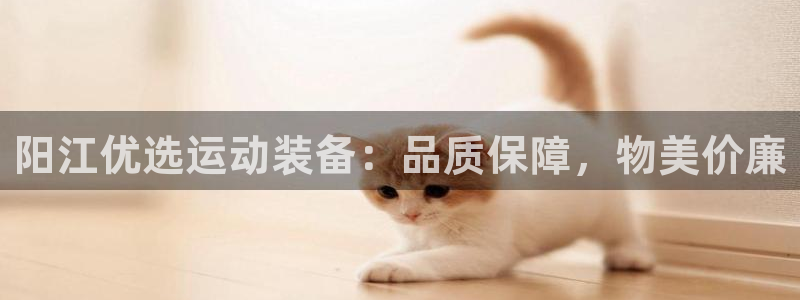 富联平台注册地址：阳江优选运动装备：品质保障，物美价