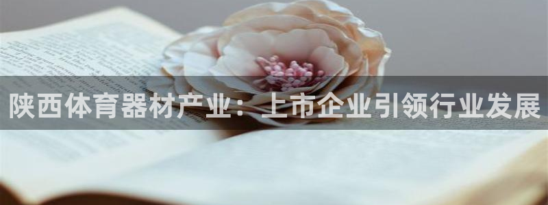 富联娱乐平台怎么样：陕西体育器材产业：上市企业引领行
