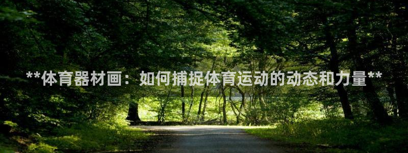 富联是什么：**体育器材画：如何捕捉体育运动的动态和