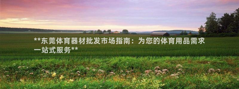 富联平台挂机：**东莞体育器材批发市场指南：为您的体