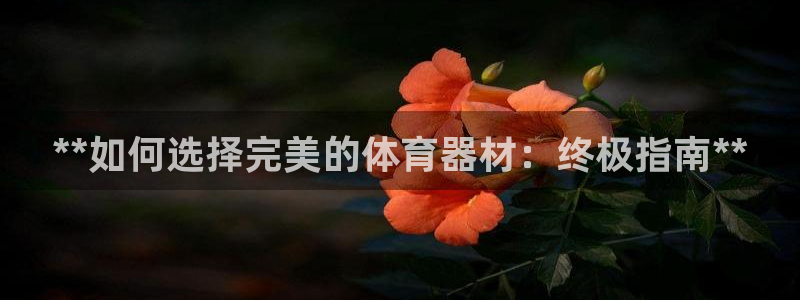 富联化工：**如何选择完美的体育器材：终极指南**