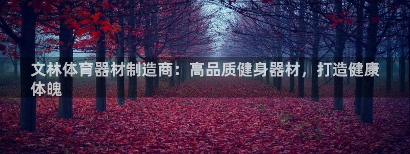 富联科技上市了吗今天：文林体育器材制造商：高品质健身