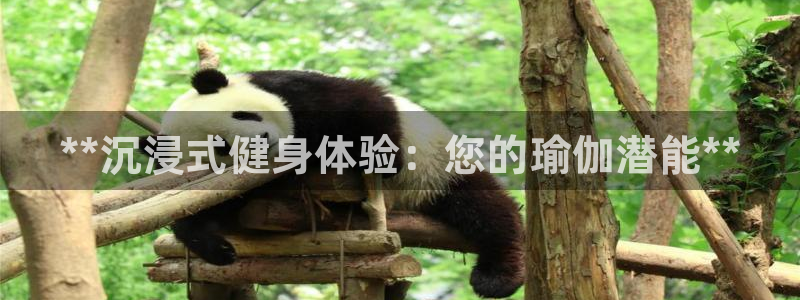 富联平台线路检测中心：**沉浸式健身体验：您的瑜伽潜