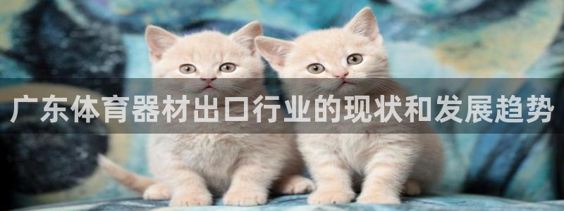 富联娱乐代理怎么做：广东体育器材出口行业的现状和发展
