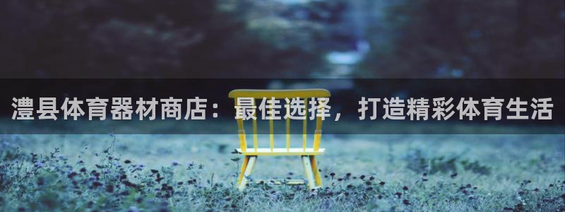 富联平台线路检测中心怎么样：澧县体育器材商店：最佳选