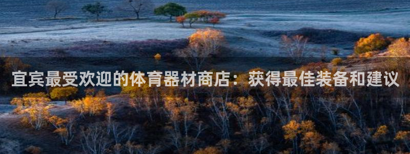富联娱乐测速：宜宾最受欢迎的体育器材商店：获得最佳装