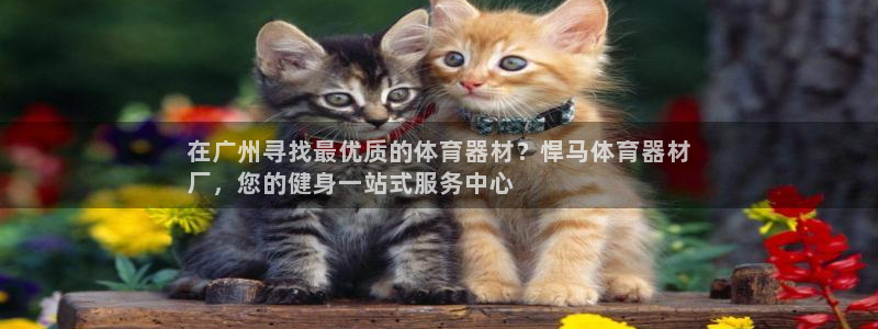 富联平台社7O777：在广州寻找最优质的体育器材？悍