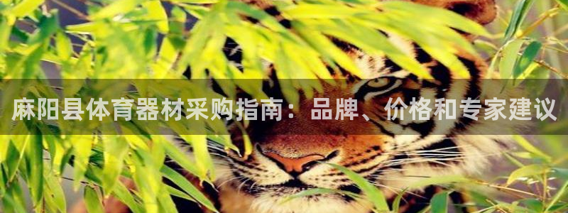 富联图文