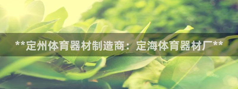 富联平台注册登录不上：**定州体育器材制造商：定海体