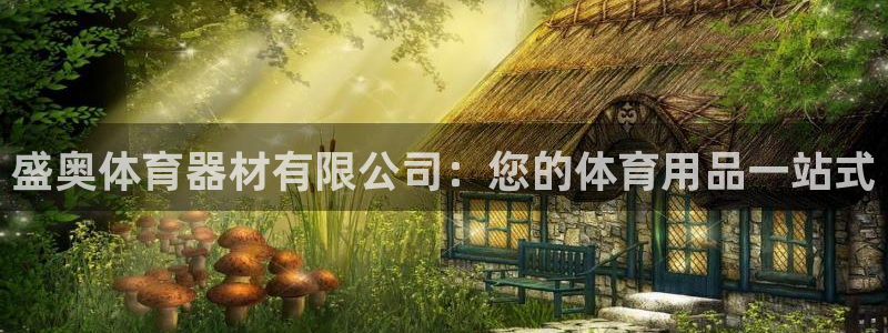 富联娱乐：盛奥体育器材有限公司：您的体育用品一站式