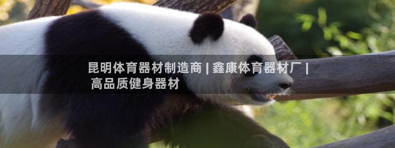 富联平台登录注册账号：昆明体育器材制造商 | 鑫康体