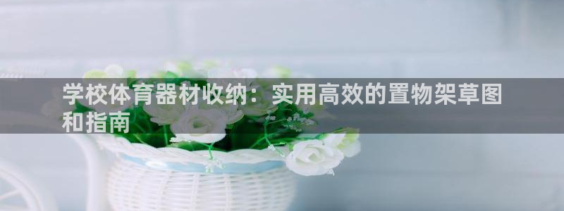 富联平台娱乐：学校体育器材收纳：实用高效的置物架草图