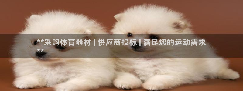 富联娱乐讲7O777：**采购体育器材 | 供应商投