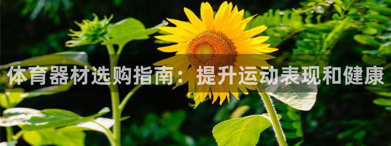 富联娱乐是骗局吗知乎：体育器材选购指南：提升运动表现