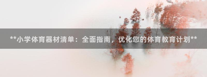 富联娱乐黑吗：**小学体育器材清单：全面指南，优化您