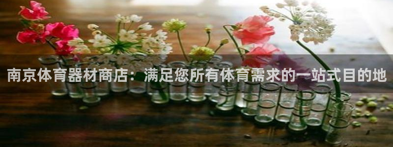 富联娱乐登录注册入口官网网址是多少：南京体育器材商店