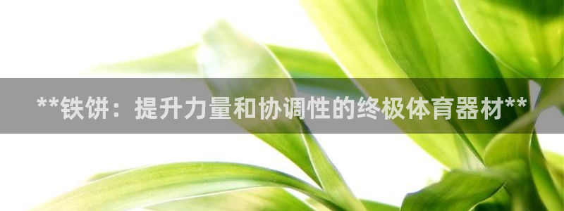 富联娱乐讲7O777：**铁饼：提升力量和协调性的终