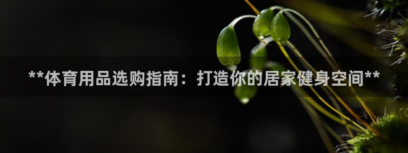 股票富联申购今天多少钱：**体育用品选购指南：打造你