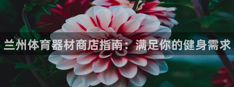 富联平台马 411O31 富联：兰州体育器材商店指南