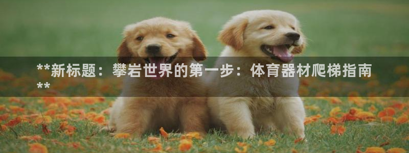 富联平台七7O777：**新标题：攀岩世界的第一步：