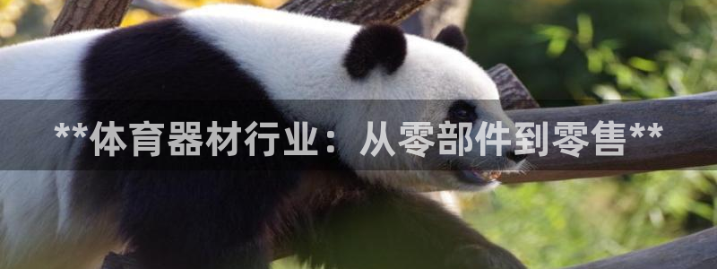 富联平台线路检测中心：**体育器材行业：从零部件到零