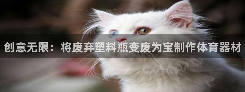 富联平台官网登录网址：创意无限：将废弃塑料瓶变废为宝
