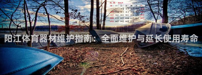 富联平台登录注册不了：阳江体育器材维护指南：全面维护