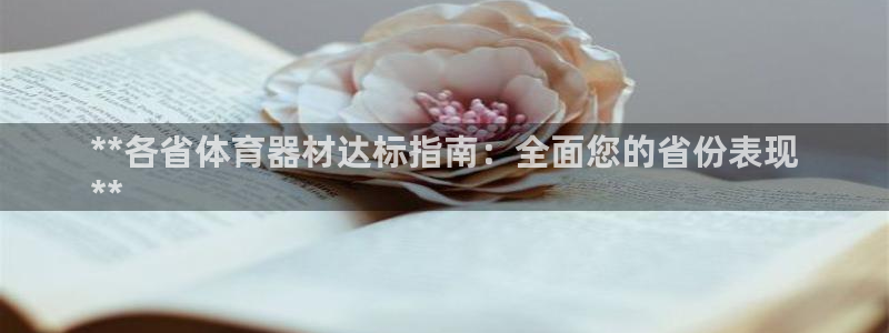 富联平台代理注册流程：**各省体育器材达标指南：全面