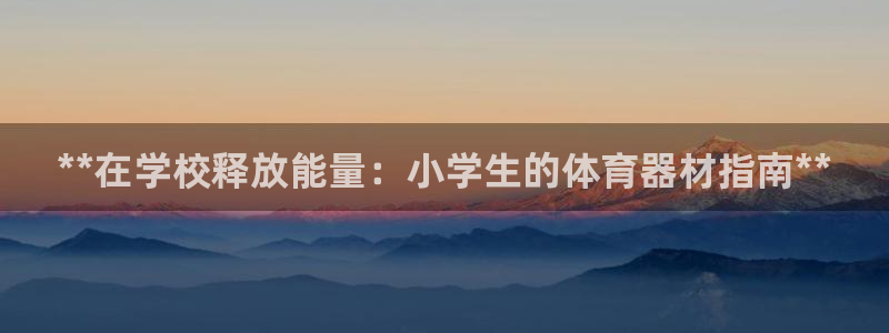 杭州富联科技：**在学校释放能量：小学生的体育器材指