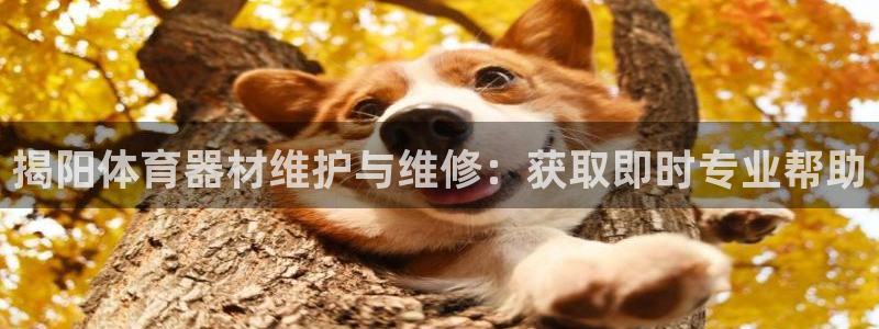 富联娱乐官方网站入口网址：揭阳体育器材维护与维修：获
