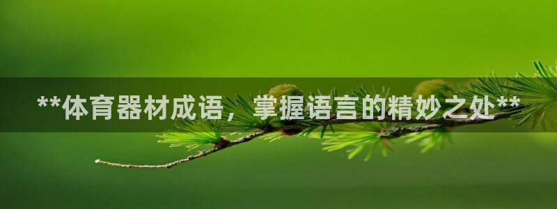 富联平台用户登陆失败：**体育器材成语，掌握语言的精