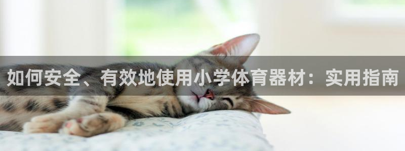 富联娱乐平台是什么软件：如何安全、有效地使用小学体育