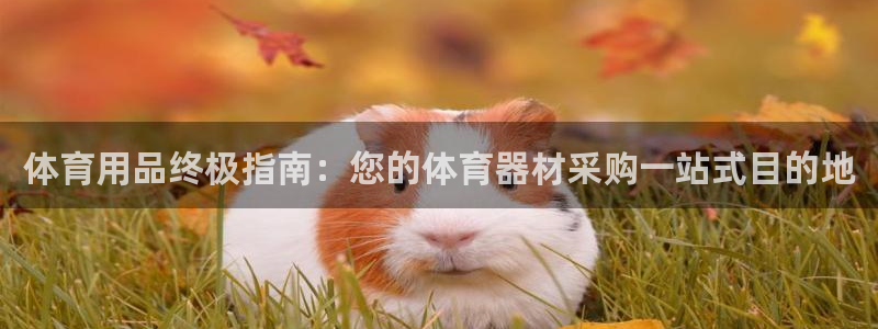 富联科技上市了吗今天：体育用品终极指南：您的体育器材