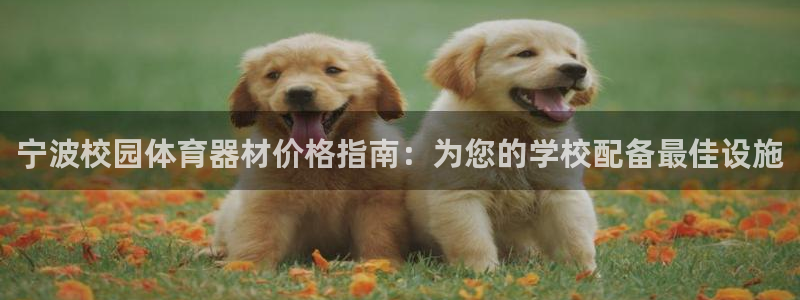 富联食品加工厂：宁波校园体育器材价格指南：为您的学校