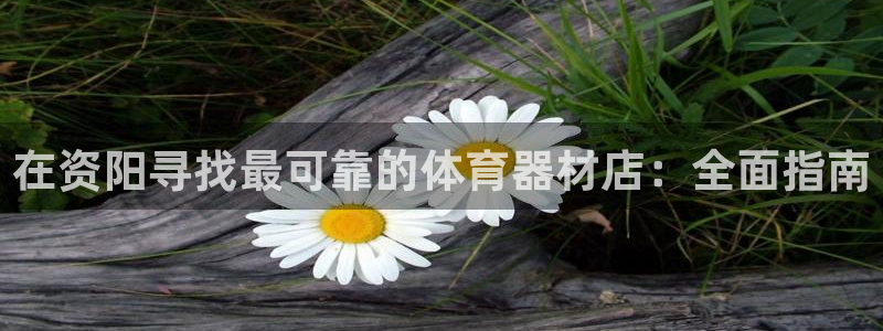 富联娱乐服务站怎么样：在资阳寻找最可靠的体育器材店：