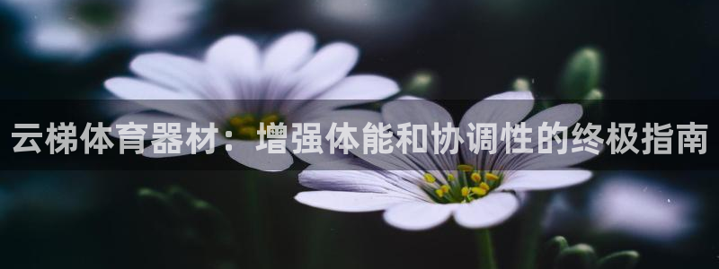 富联平台开户：云梯体育器材：增强体能和协调性的终极指