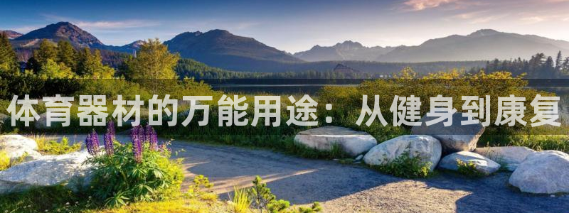 富联娱乐测速登录不了：体育器材的万能用途：从健身到康复