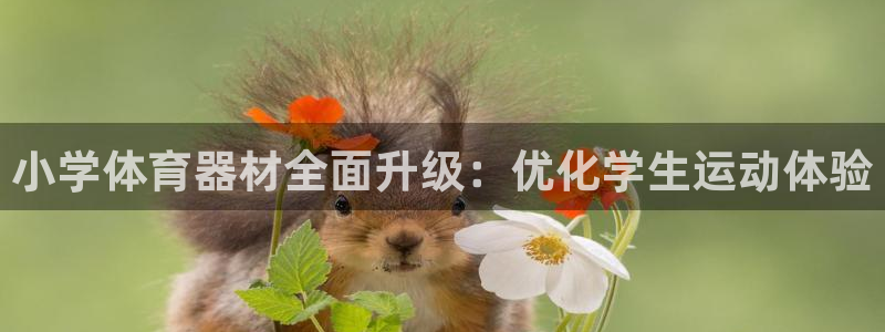 富联公寓：小学体育器材全面升级：优化学生运动体验