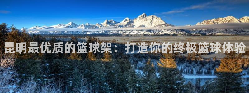 富联娱乐总代理：昆明最优质的篮球架：打造你的终极篮球