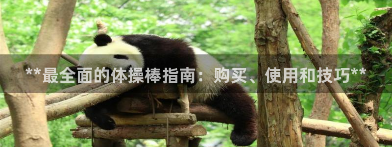 富联娱乐代 41IO31 娱乐：**最全面的体操棒指
